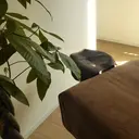 肩こり首こり専門🪽 呼吸が深くなるサロンのプロフィール画像