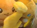 Luana /Yuzukiのプロフィール画像