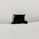 Li aile hikariのプロフィール画像