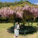 nagano natsumiのプロフィール画像