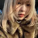 🩶レイヤーカット /miho🩶のプロフィール画像