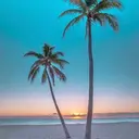 小林 真梨菜のプロフィール画像