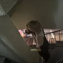 新美 叶羽のプロフィール画像