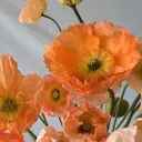 マシェリ梅田店 Yunaのプロフィール画像