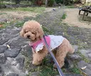 住田 なぎさのプロフィール画像