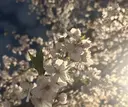 ecargHOMME 新宿🤍のプロフィール画像