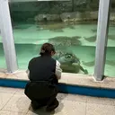 🍀寒色/暖色/髪質 改善/碧璃🍀のプロフィール画像