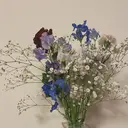許田 心渚のプロフィール画像