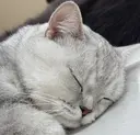 O Uのプロフィール画像