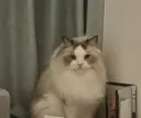 リ カヒのプロフィール画像