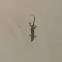 山口 永季のプロフィール画像