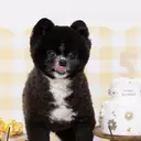 oreo salon miyu 池袋のプロフィール画像