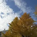 髪質改善/縮毛矯正 addict本店のプロフィール画像