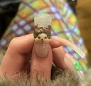 秋丸 莉奈のプロフィール画像