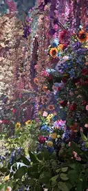 snowdrop 和田のプロフィール画像