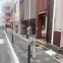 浦田 夏希のプロフィール画像