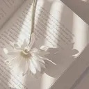 平野 美晴のプロフィール画像