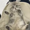 岡本 一晃のプロフィール画像