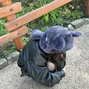 あおき ふうかのプロフィール画像