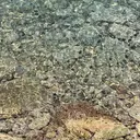 秋田 早織のプロフィール画像