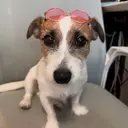 mavie みづきのプロフィール画像