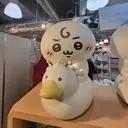 kimoto akaneのプロフィール画像