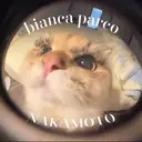 ビアンカ 浦添 PARCO店 仲本のプロフィール画像
