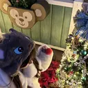 Design. Ayakaのプロフィール画像