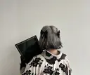 今村 光希のプロフィール画像