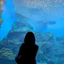 加藤 有希子のプロフィール画像