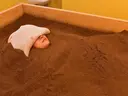 オウ メイのプロフィール画像