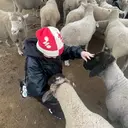 Kahulihair Uluのプロフィール画像