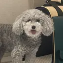 れ rのプロフィール画像