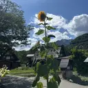 杉山 かおりのプロフィール画像