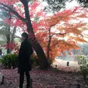 ネイリスト Yuriのプロフィール画像