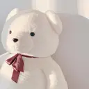 佐々木 蓮のプロフィール画像