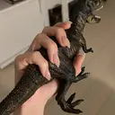 武島 早咲のプロフィール画像