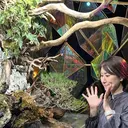 石谷 真知子のプロフィール画像