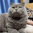 JINIE ジンのプロフィール画像