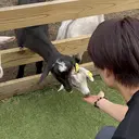 飯田 雷晟のプロフィール画像