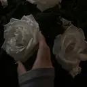 Lila/岡本店 ナカムラのプロフィール画像