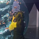 和泉 里奈のプロフィール画像