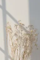 lune. anriのプロフィール画像
