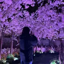 河邉 眞由香のプロフィール画像
