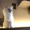 Hiro Nのプロフィール画像