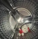 IWANO モデル募集中のプロフィール画像