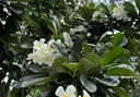 (モデル募集中) kannaのプロフィール画像