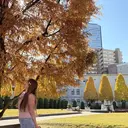 まつぱ/名駅 アイブロウ/SAKIのプロフィール画像