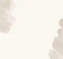 🎀まつ毛パーマ/ タケナカ🎀のプロフィール画像