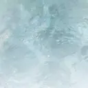 ENsalon Miuのプロフィール画像